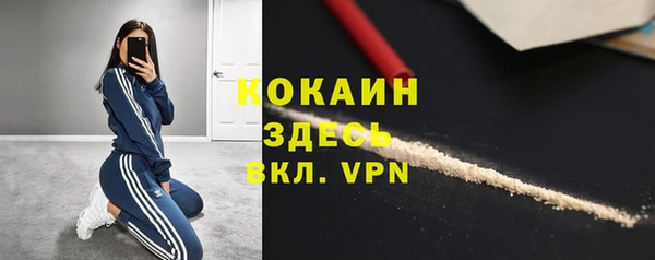 spice Осинники