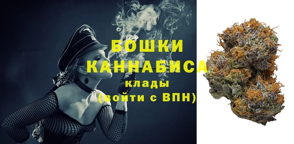 соль ск Осташков