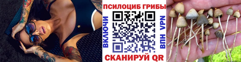 Купить закладки  Ирбит  Галлюциногенные грибы мухоморы 